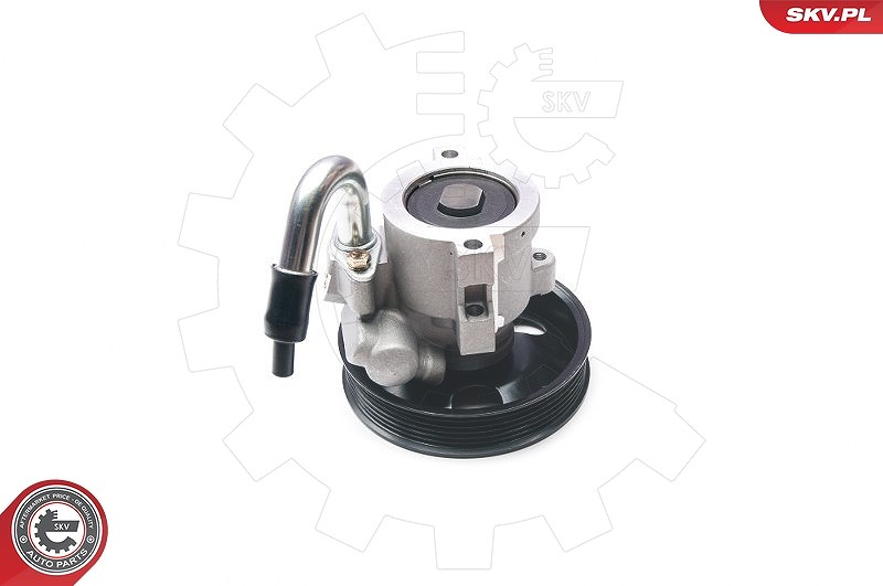 Esen Skv Hydraulikpumpe, Lenkung [Hersteller-Nr. 10SKV206] für Daewoo, Chevrolet