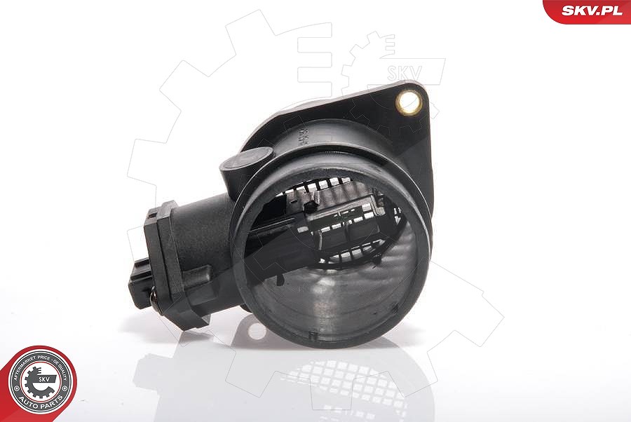 Esen Skv Luftmassenmesser [Hersteller-Nr. 07SKV006] für VW