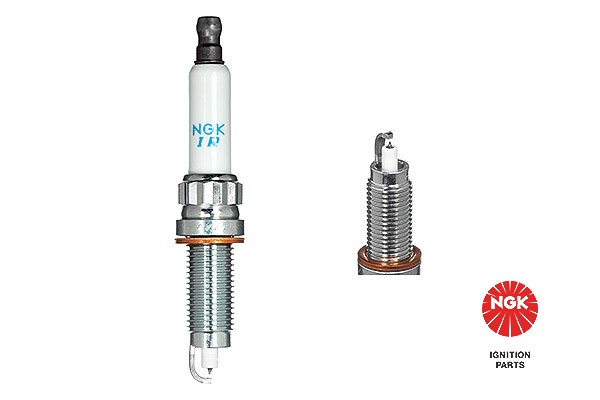 Ngk Zündkerze [Hersteller-Nr. 1555] für Alpina