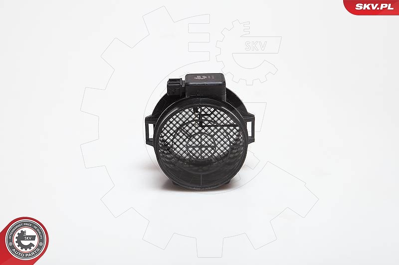 Esen Skv Luftmassenmesser [Hersteller-Nr. 07SKV123] für BMW
