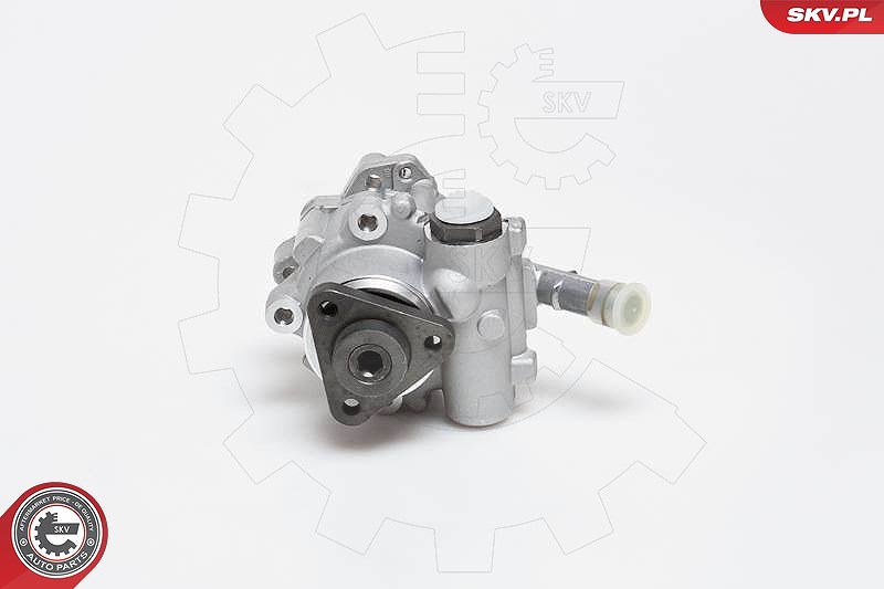 Esen Skv Hydraulikpumpe, Lenkung [Hersteller-Nr. 10SKV129] für BMW