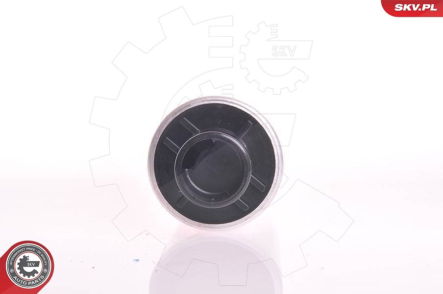 Esen Skv Kraftstoffpumpe [Hersteller-Nr. 02SKV210] für Jeep
