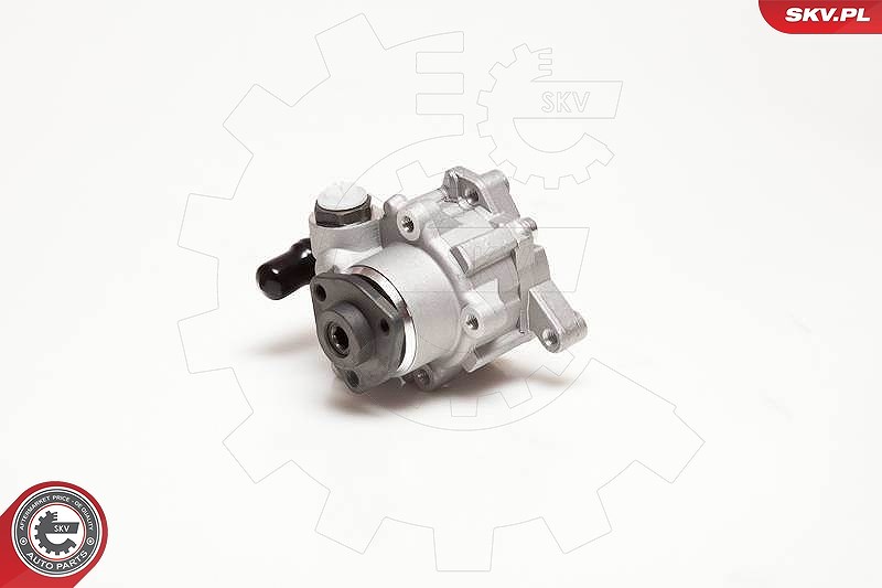 Esen Skv Hydraulikpumpe, Lenkung [Hersteller-Nr. 10SKV124] für Mercedes-Benz