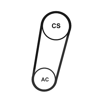 Continental Ctam Keilrippenriemensatz [Hersteller-Nr. 5PK705ELASTT1] für Volvo, Ford