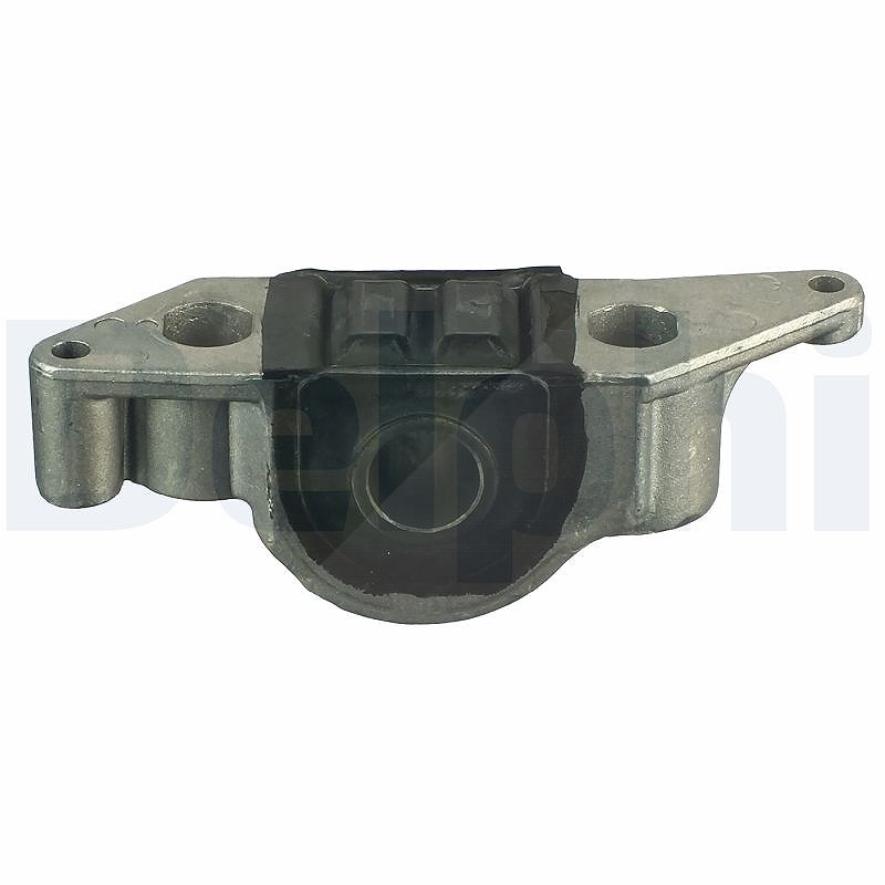 Delphi Lagerung, Lenker [Hersteller-Nr. TD1033W] für Fiat