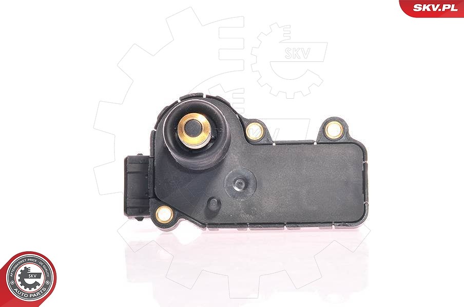 Esen Skv Leerlaufregelventil, Luftversorgung [Hersteller-Nr. 08SKV200] für Fiat, Lancia, Renault, Citroën, Autobianchi, Peugeot, VW, Volvo