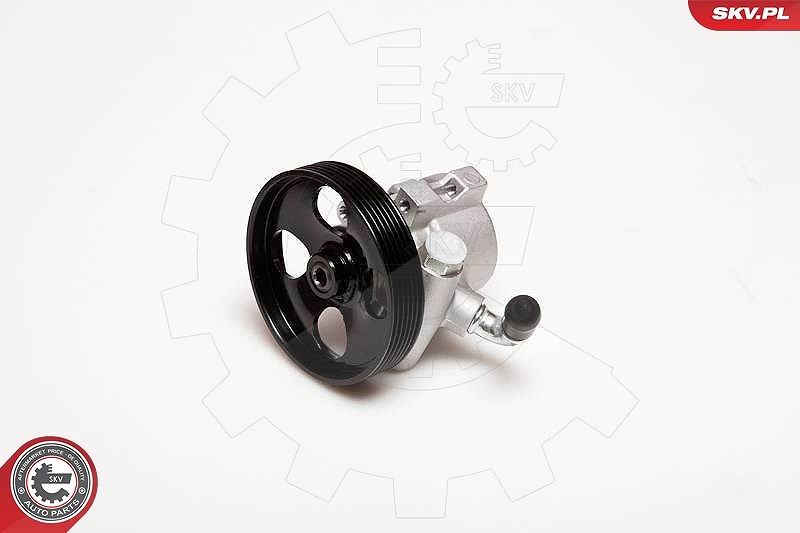 Esen Skv Hydraulikpumpe, Lenkung [Hersteller-Nr. 10SKV031] für Citroën, Peugeot