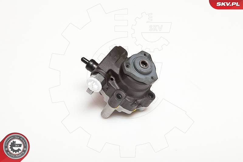 Esen Skv Hydraulikpumpe, Lenkung [Hersteller-Nr. 10SKV094] für Land Rover