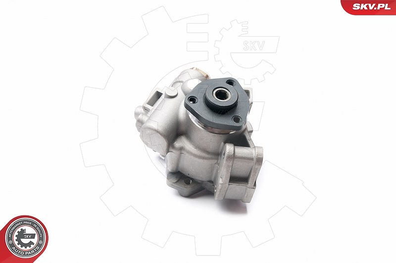 Esen Skv Hydraulikpumpe, Lenkung [Hersteller-Nr. 10SKV236] für Mercedes-Benz