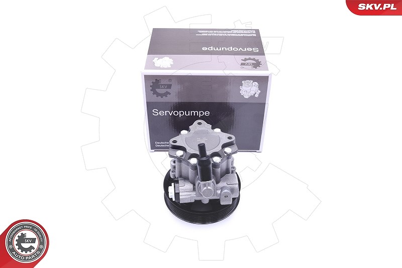Esen Skv Hydraulikpumpe, Lenkung [Hersteller-Nr. 10SKV241] für Alfa Romeo