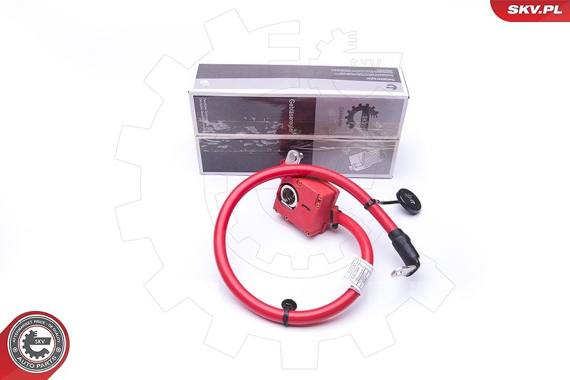Esen Skv Batterieadapter [Hersteller-Nr. 96SKV305] für BMW