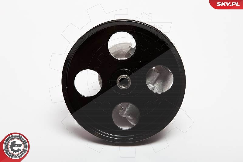 Esen Skv Hydraulikpumpe, Lenkung [Hersteller-Nr. 10SKV069] für Saab