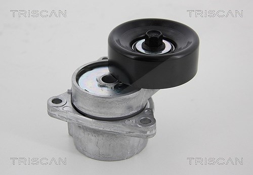 Triscan Spannrolle, Keilrippenriemen [Hersteller-Nr. 8641141005]