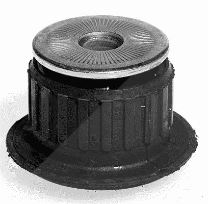 Lemförder Lagerung, Automatikgetriebeträger [Hersteller-Nr. 1007102] für Audi
