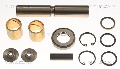 Triscan Reparatursatz, Achsschenkelbolzen [Hersteller-Nr. 85002362] für Mercedes-Benz