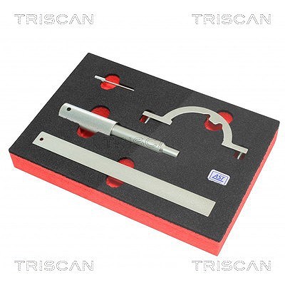 Triscan Werkzeug [Hersteller-Nr. 86556012]