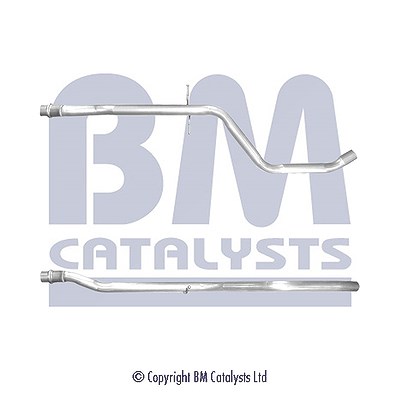 Bm Catalysts Abgasrohr [Hersteller-Nr. BM50344] für Peugeot, Citroën