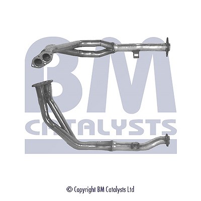 Bm Catalysts Hosenrohr [Hersteller-Nr. BM70062] für Renault