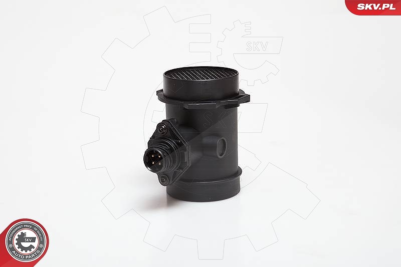 Esen Skv Luftmassenmesser [Hersteller-Nr. 07SKV020] für BMW