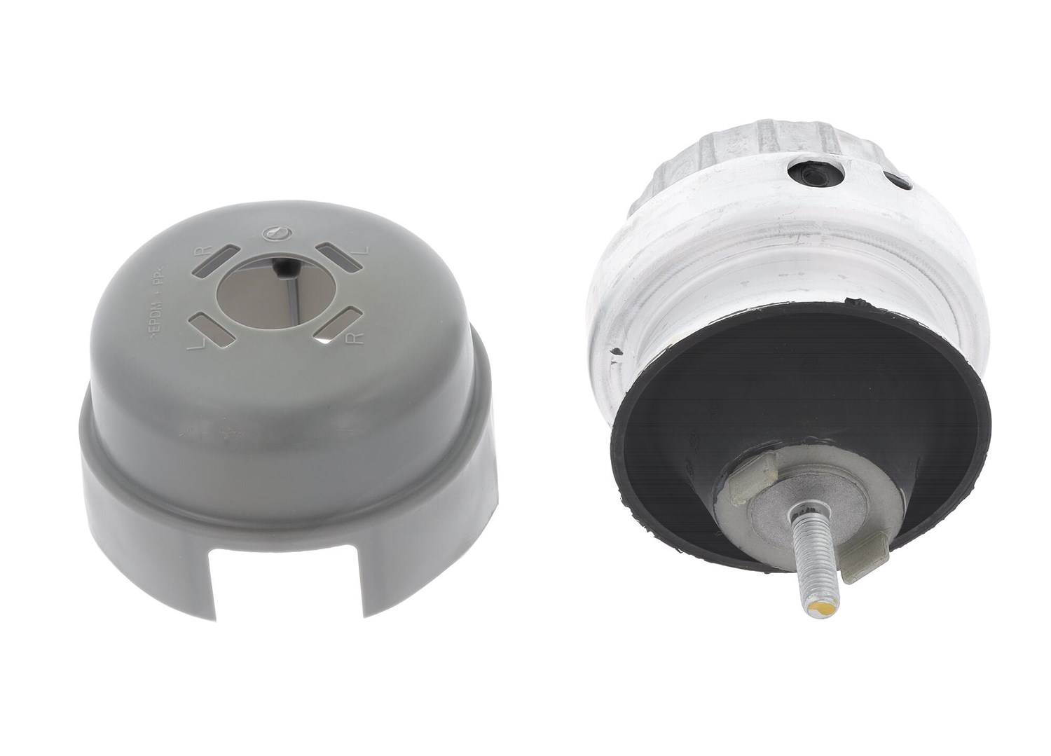 Corteco Lagerung, Motor ERSTAUSRÜSTERQUALITÄT [Hersteller-Nr. 80004297] für Audi