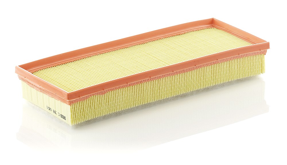 Mann-filter Luftfilter [Hersteller-Nr. C38001] für Renault
