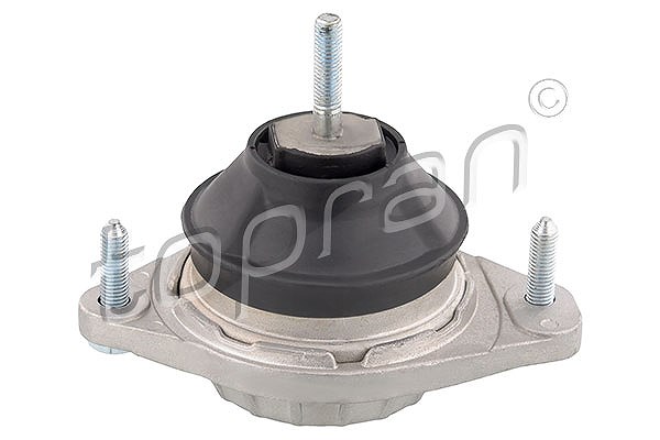 Topran Lagerung, Motor [Hersteller-Nr. 104396] für Audi