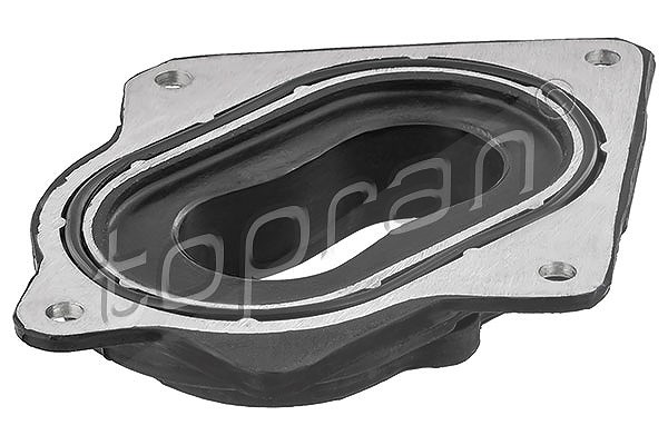 Topran Flansch, Vergaser [Hersteller-Nr. 100960] für Audi, VW