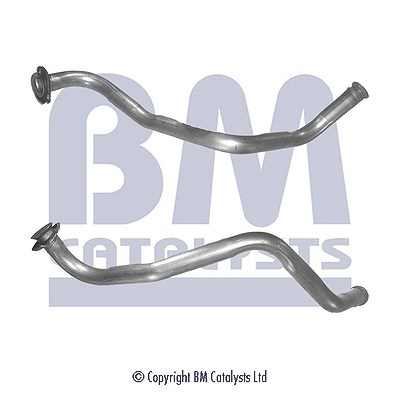 Bm Catalysts Abgasrohr [Hersteller-Nr. BM70363] für Renault