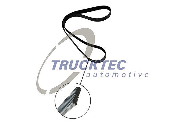 Trucktec Automotive Keilrippenriemen [Hersteller-Nr. 08.19.262] für BMW