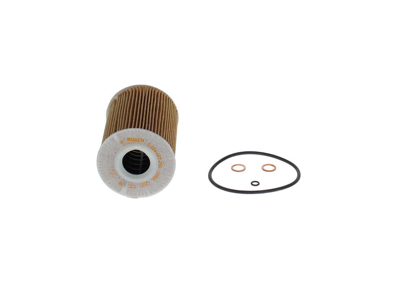 Bosch Ölfilter [Hersteller-Nr. F026407255] für BMW