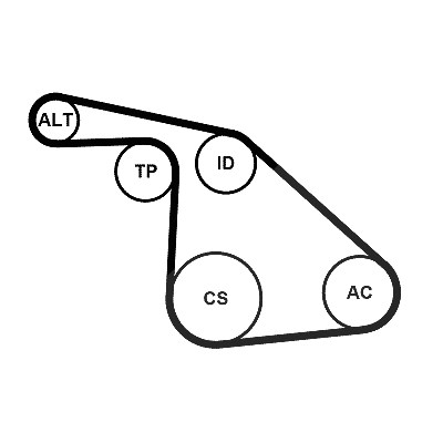 Continental Ctam Keilrippenriemensatz [Hersteller-Nr. 6PK1038K1] für Fiat, Alfa Romeo