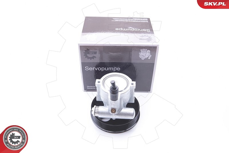 Esen Skv Hydraulikpumpe, Lenkung [Hersteller-Nr. 10SKV232] für Renault