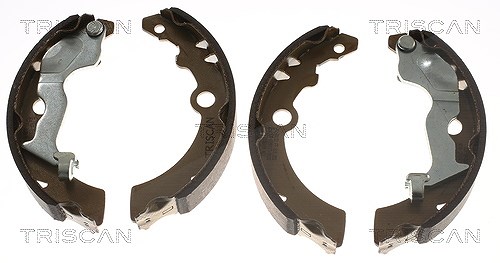 Triscan Bremsbackensatz [Hersteller-Nr. 810069005] für Suzuki, Nissan