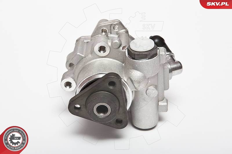 Esen Skv Hydraulikpumpe, Lenkung [Hersteller-Nr. 10SKV015] für BMW