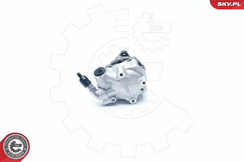 Esen Skv Hydraulikpumpe, Lenkung [Hersteller-Nr. 10SKV184] für Audi