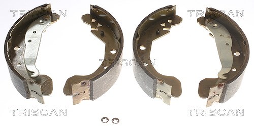 Triscan Bremsbackensatz [Hersteller-Nr. 810021612] für Chevrolet, Daewoo