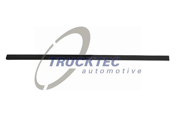 Trucktec Automotive Zier-/Schutzleiste, Tür [Hersteller-Nr. 08.62.902] für BMW