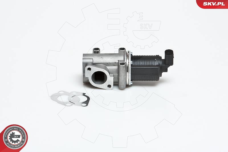 Esen Skv AGR-Ventil [Hersteller-Nr. 14SKV006] für Fiat, Alfa Romeo, Lancia