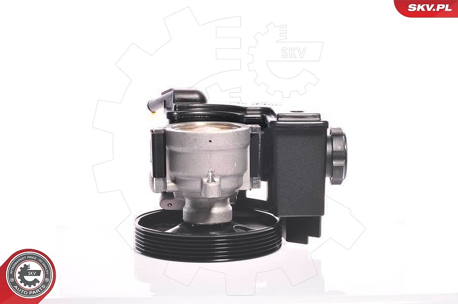 Esen Skv Hydraulikpumpe, Lenkung [Hersteller-Nr. 10SKV159] für Citroën, Peugeot