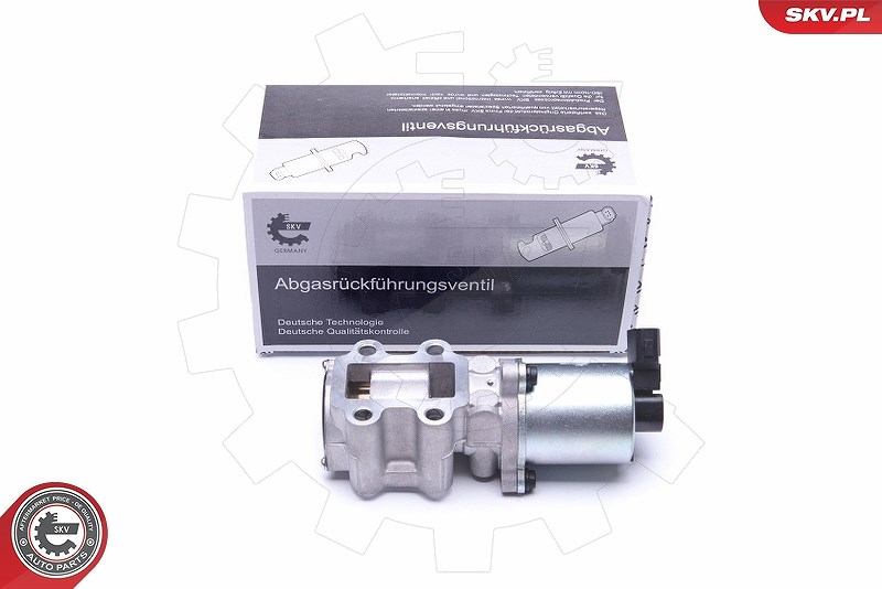 Esen Skv AGR-Ventil [Hersteller-Nr. 14SKV200] für Toyota