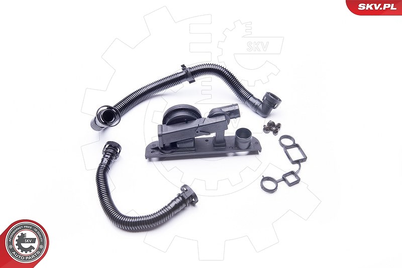 Esen Skv Reparatursatz, Kurbelgehäuseentlüftung [Hersteller-Nr. 31SKV005] für Seat, VW, Audi, Skoda