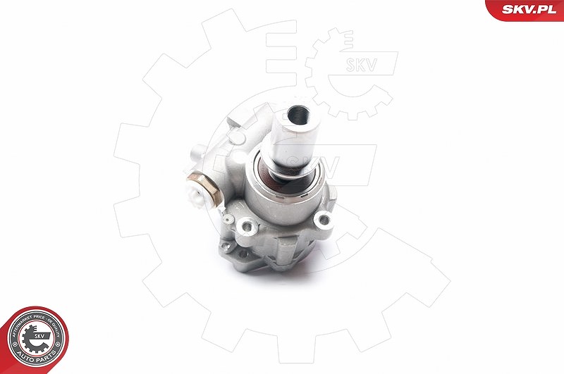 Esen Skv Hydraulikpumpe, Lenkung [Hersteller-Nr. 10SKV217] für Lancia, Fiat