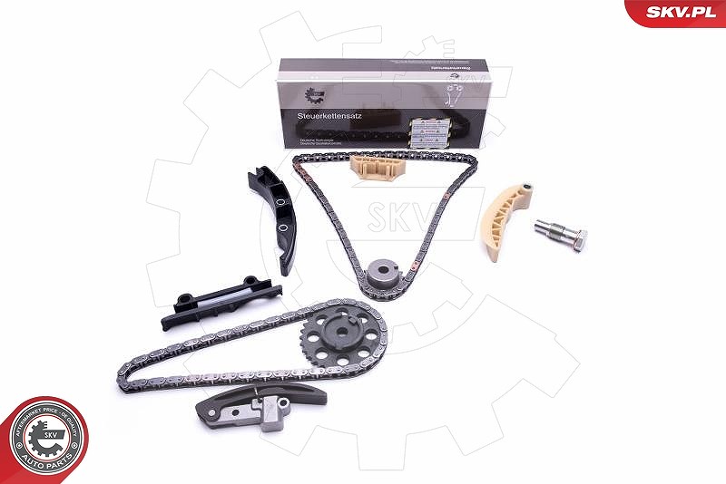 Esen Skv Steuerkettensatz [Hersteller-Nr. 21SKV192] für VW, Audi, Seat, Porsche