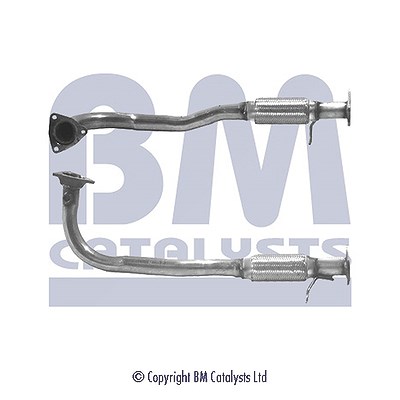Bm Catalysts Abgasrohr [Hersteller-Nr. BM70021] für Rover