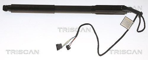 Triscan Gasfeder, Koffer-/Laderaum [Hersteller-Nr. 871011303] für BMW