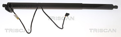 Triscan Gasfeder, Koffer-/Laderaum [Hersteller-Nr. 871011305] für BMW