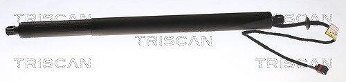 Triscan Gasfeder, Koffer-/Laderaum [Hersteller-Nr. 871017302] für Land Rover