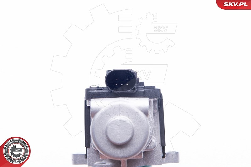 Esen Skv AGR-Ventil [Hersteller-Nr. 14SKV164] für VW, Audi