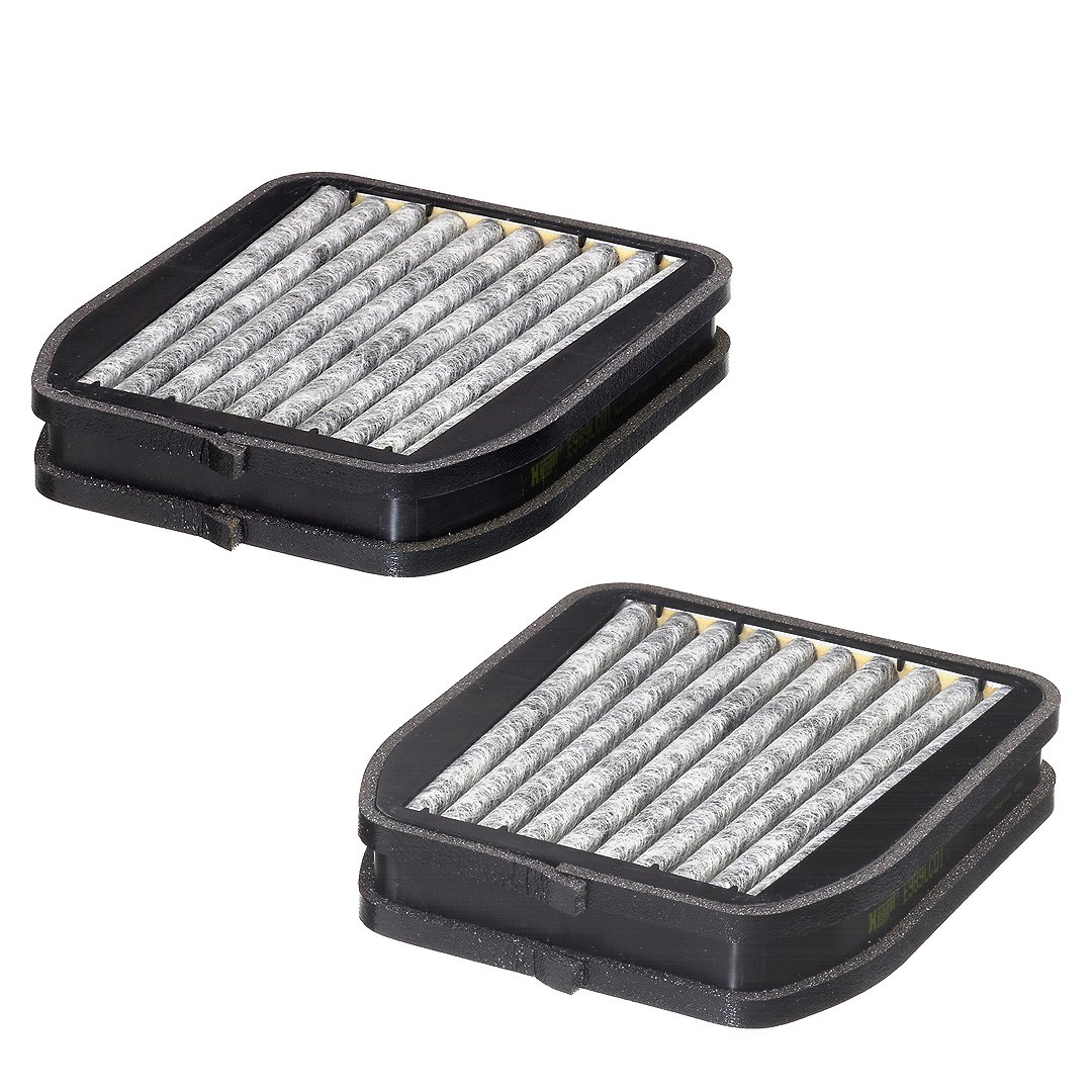 Hengst Filter Filter, Innenraumluft [Hersteller-Nr. E989LC01-2] für Mercedes-Benz