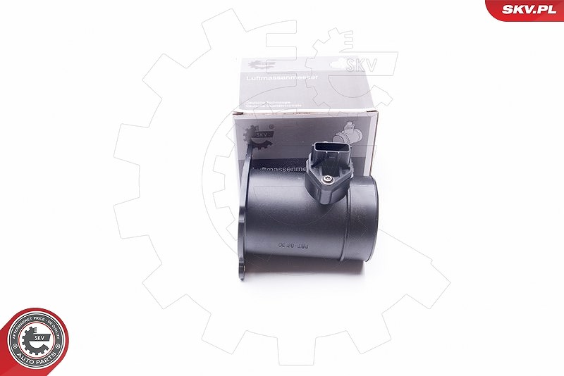 Esen Skv Luftmassenmesser [Hersteller-Nr. 07SKV060] für Nissan